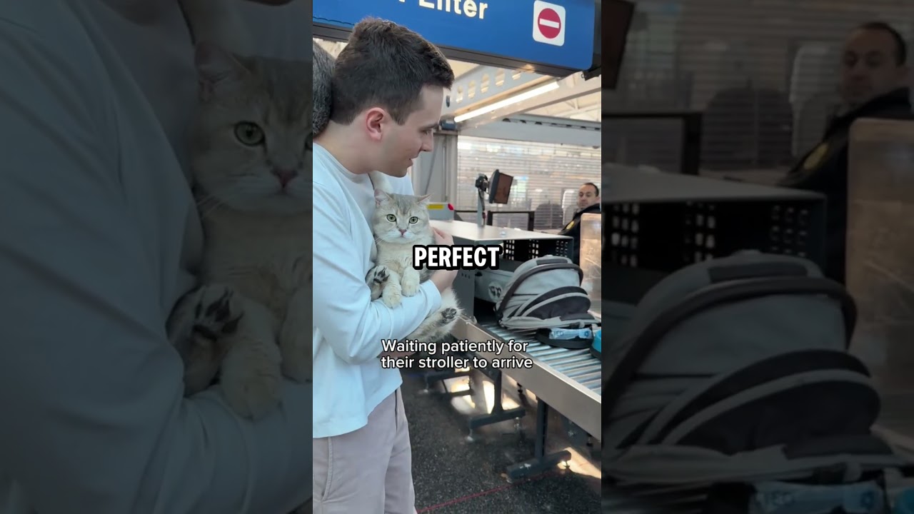 TSA Didn’t Expect This 😳