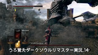 うろ覚えDARK SOULS REMASTERED実況.14
