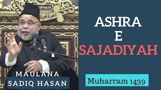 29th Muharram 1439 - Majlis by Maulana Sadiq Hasan