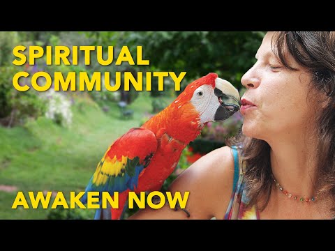 Play Video Youtube Video