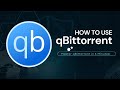 How To Use QBittorrent Complete Beginner S Guide 2025