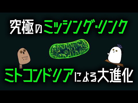 ツノインコについて詳しく解説