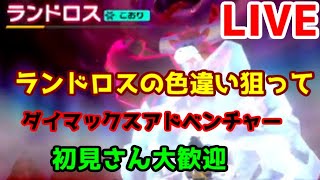 画面外でランドロスの色違いが出てしまった配信（ダイマックスアドベンチャーランドロス配信3日目）