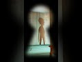 Shadow Man In Hello Neighbor Alpha 3 Helloneighbor