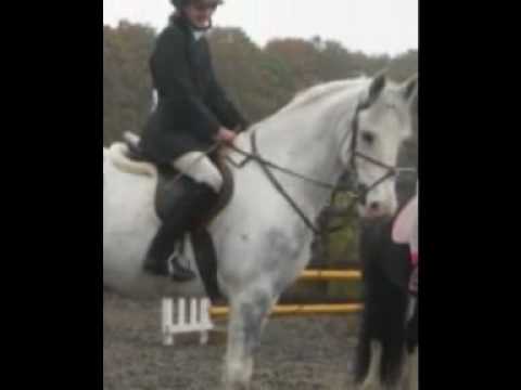 Fran & Wishes. THE END. R.I.P ♥♥