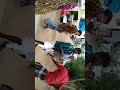 Karakattam Ktu