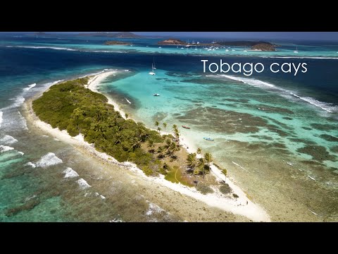 CROISIÈRE EN CATAMARAN AUX GRENADINES UNE JOURNÉE AUX TOBAGO CAYS
