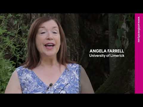 Angela Farrell, University of Limerick, Ireland