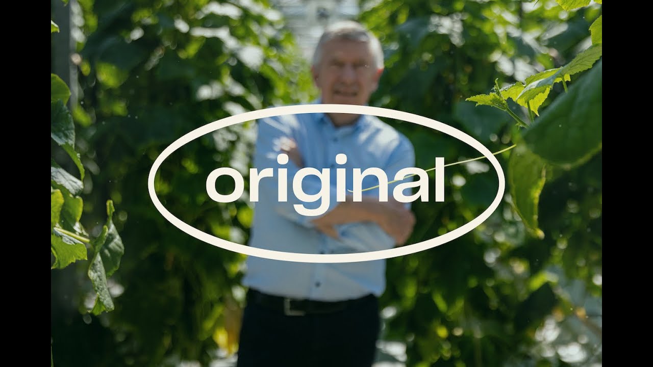 Video preview poster