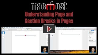 Understanding Page and Section Breaks in Pages (#1736)