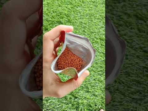 Pellets optimum cichlid fish food 300gm, packaging type: pac...