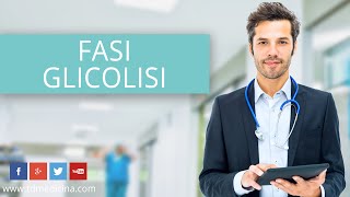 3.3 BIOCHIMICA | 2.2 - Glicolisi: le caratteristiche più importanti delle fasi