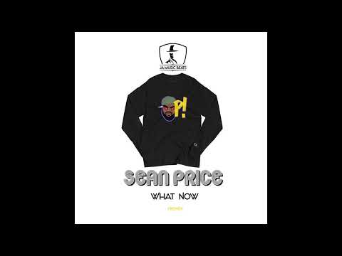 SEAN PRICE What Now Remix JAMUSICBEATS