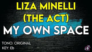 Liza Minelli - My own Space (The Act) - karaoke Instrumental