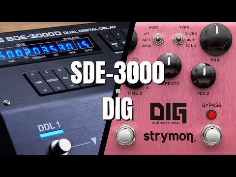 Strymon DiG v BOSS SDE-3000 Comparison
