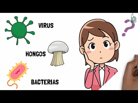 Diferencias entre virus ☣, bacterias 🦠y hongos 🍄 |Video animado y con ejemplos|