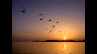 ANDREA BOCELLI  ♫♪Non ti scordar di me ♪♫