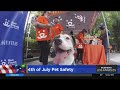 How to protect your pets over the July 4th weekend