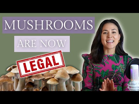 Doctor Explains the Surprising Comeback of Magic Mushrooms