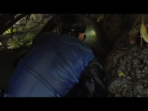 SE02EP89 Part 1 - PANANAMBANG sa mga LUMANG LUNGGA ng DALAG at PALOS | San Pablo City, Laguna