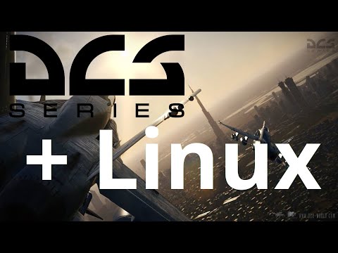 How to Make DCS 2.5.6 Run under Linux (again) using Lutris, Wine, DXVK