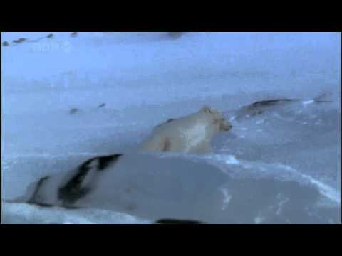 BBC   Nature's Great Events E01 The Great Melt clip0