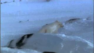 BBC   Nature's Great Events E01 The Great Melt clip0