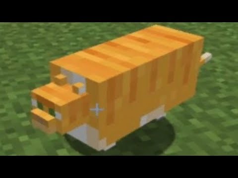 C418 - Cat played over cursed images of cats