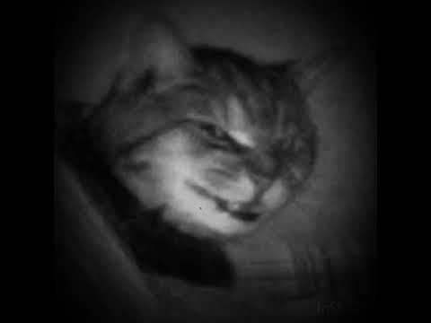 4atty aka tilla - Coco