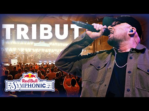 Kool Savas - Tribut | Live | Red Bull Symphonic