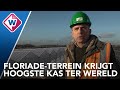 Westlanders bouwen hoogste kas op Floriade - OMROEP WEST