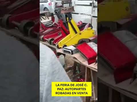 JOSÉ C. PAZ: LA FERIA DE LO ILEGAL