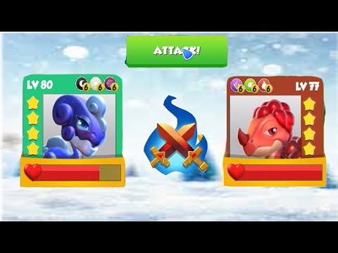 ENCHANT DRAGON BATTIE - STARUST VS BERRY LV 80 VS 77 - Dragon Mania Legends - part 741