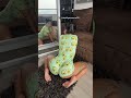 Latina Twerk Shorts