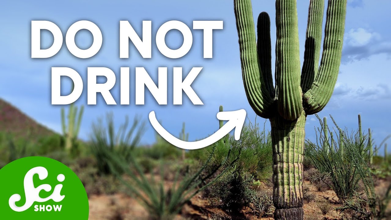 8 Survival Myths That Will Definitely Make Things Worse