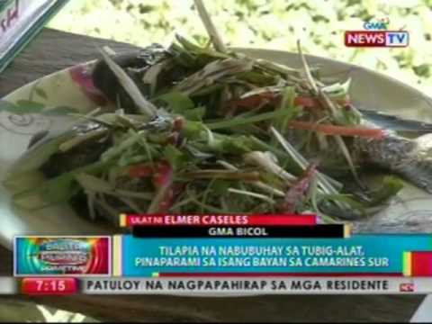 Pasalingsing kuko paggamot Tao Ang pinakamahusay na lunas para sa mga halamang-singaw sa daliri ng paa kuko review