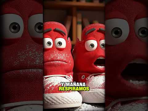 Errores comunes que arruinan tus cosas sin que lo sepas #diy #hacks