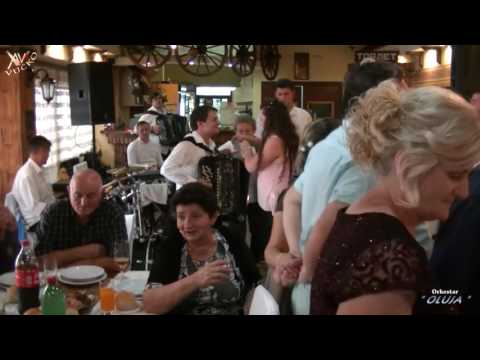 Orkestar OLUJA, Milana Obretkovica. Splet vlaskih kola. Kucevo 2016.god