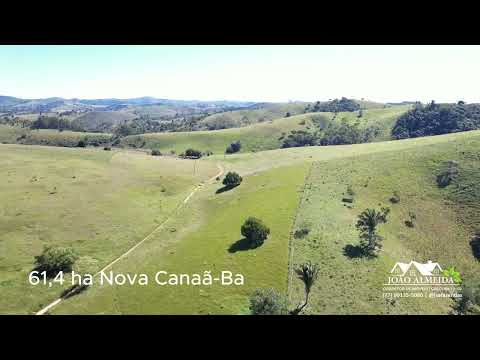 Fazenda de 61,4 ha à Venda em Nova Canaã-BA | Água Permanente, Pastagens Formadas e Grande Potencial