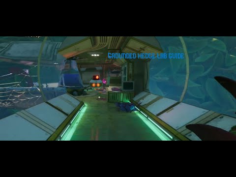 Grounded hedge lab guide
