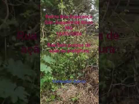 Bairro Boa Esperança, São Joaquim de Bicas MG - Rua Seis precisa de ação da prefeitura - 18/5/26