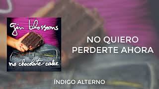 Gin Blossoms - I Don&#39;t Want to Lose You Now // Subtitulado en Español
