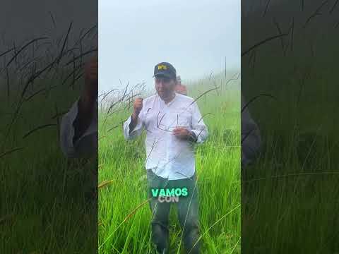 #bolívar #manuelsolano #guaranda #chimbo #sanmiguel