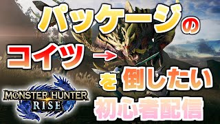 【生配信】初心者がパッケージのやつ目指す 【MONSTER HUNTER RISE】