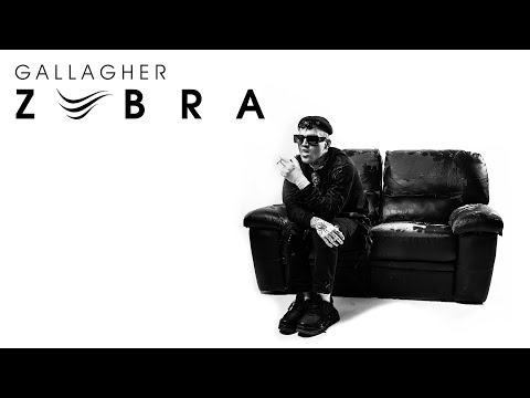 GALLAGHER - ZEBRA