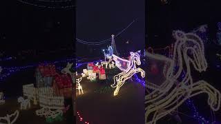 2022.12.10 加西フラワーセンター・花と光のクリスマス #shorts