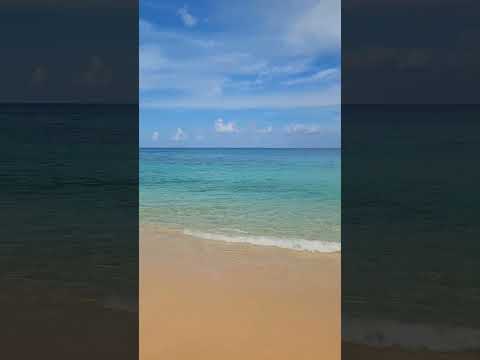 Videos del Hawksbill Resort Antigua 4★ en Five Islands Village, Antigua y Barbuda
Ver Más
Ver
Precios
16
Cerrar
Consulta por Whatsapp 🇦🇷
Booking
Tripadvisor
Expedia
Agoda
Travelocity
Orbitz
Priceline
Trip
Skyscanner
Despegar
Kayak
Hoteles
Trivago
Lastminute
Hotwire
Tui
