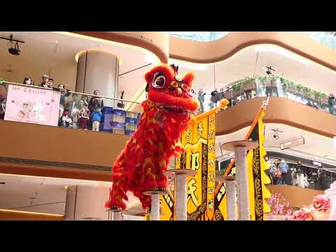 2025-Feb-8 #香港中國農曆新年 醒獅表演#HongKongChineseLunarNewYear #LionDance Performance Lion Dance @ AIRSIDE