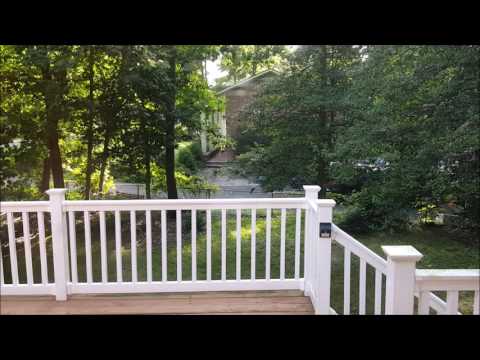 2016-06-24 - He Found An Angry Bird