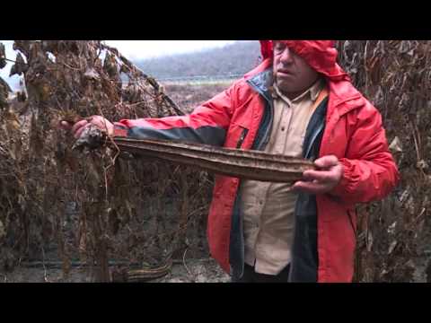 Fiks Fare Highlights, 25/02/2016 - Pjesa 2